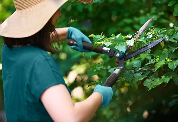 Jardinera cortando ramas de álbol con tijeras para cortar pasto Total