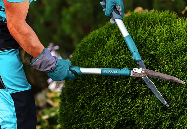 Jardinero cortando arbusto con tijeras para cortar pasto Total